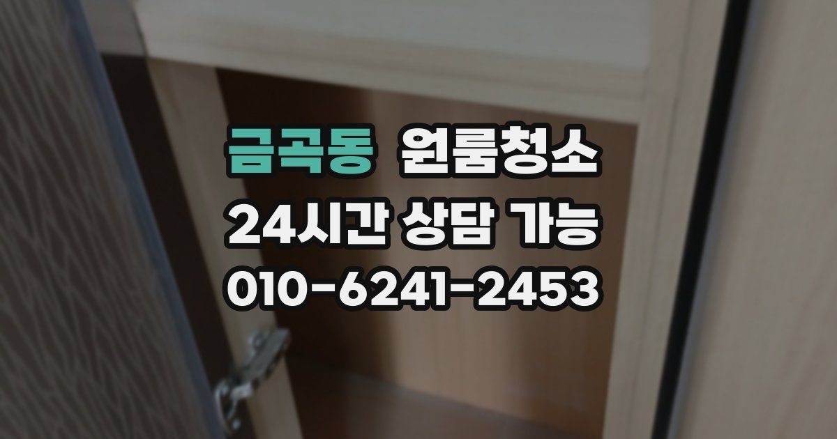 금곡동 입주청소