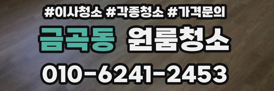 금곡동 이사청소