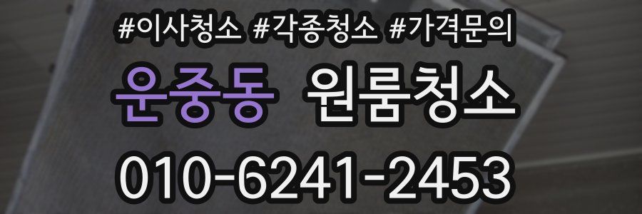 운중동 이사청소