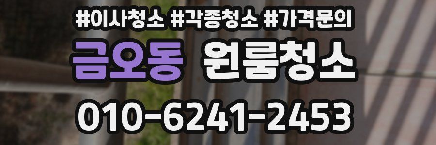 금오동 이사청소