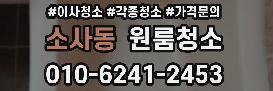 소사동 이사청소