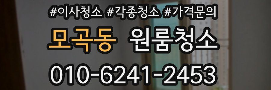 모곡동 이사청소