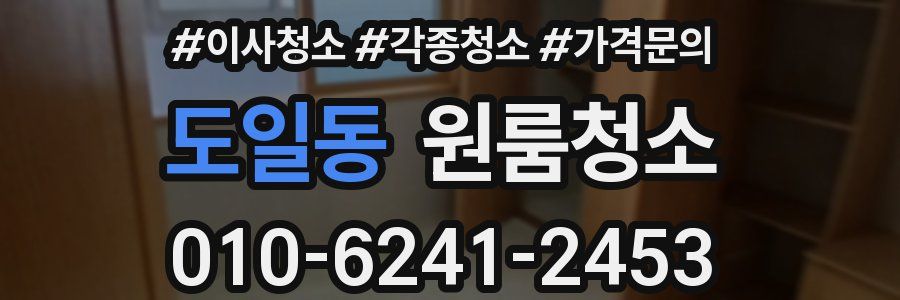 도일동 이사청소