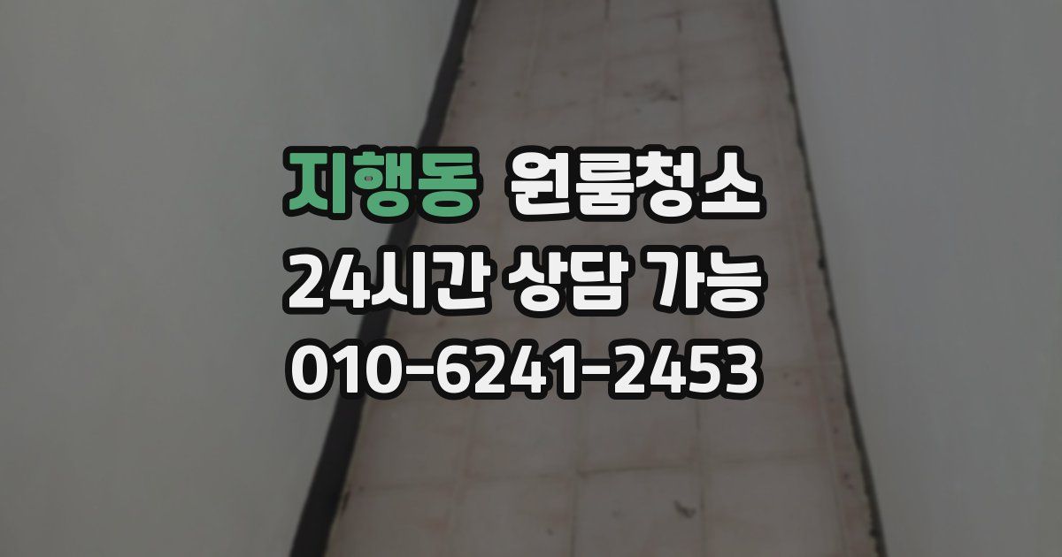 지행동 입주청소