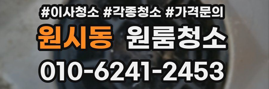 원시동 이사청소