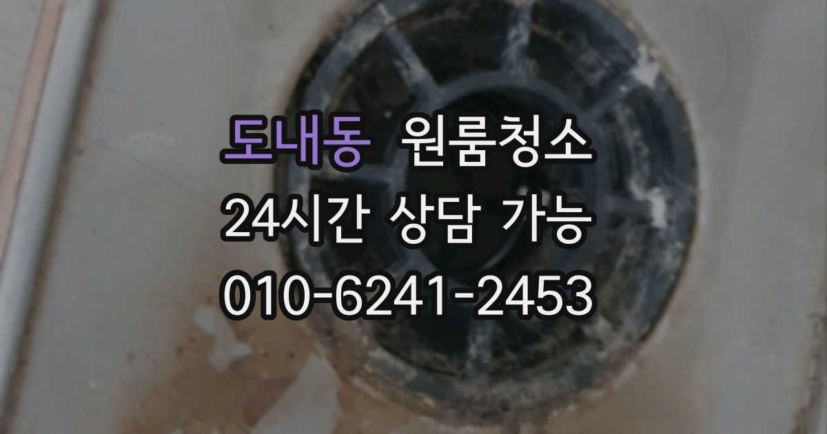 도내동 입주청소