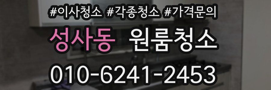 성사동 이사청소