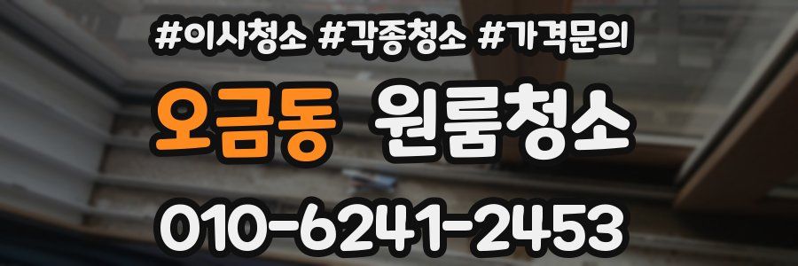 오금동 이사청소