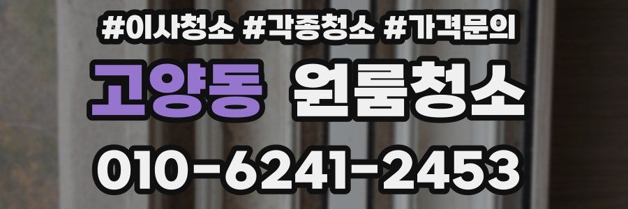 고양동 이사청소