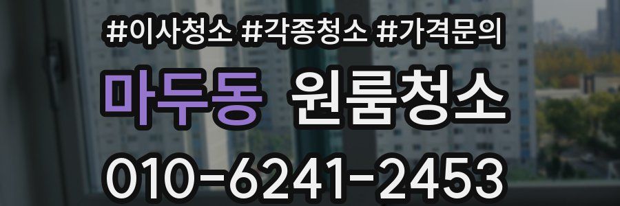 마두동 이사청소