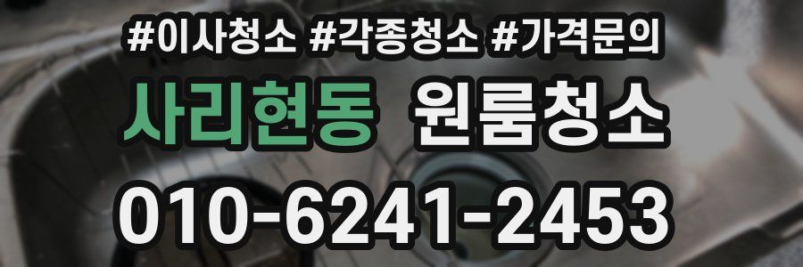 사리현동 이사청소