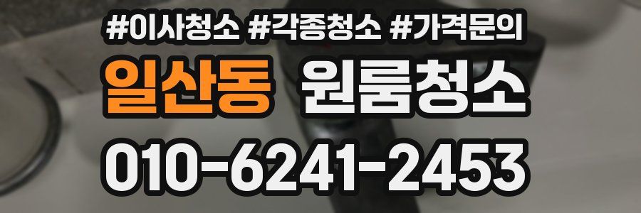 일산동 이사청소