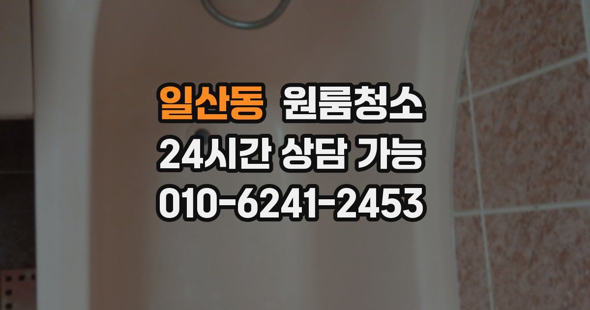 일산동 입주청소