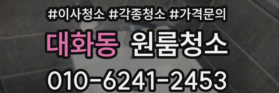 대화동 이사청소