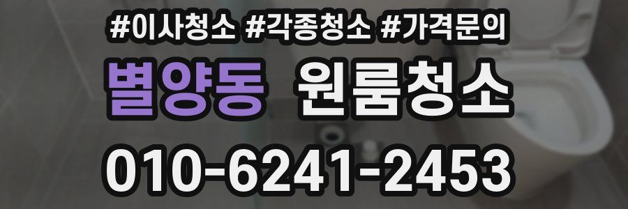 별양동 이사청소