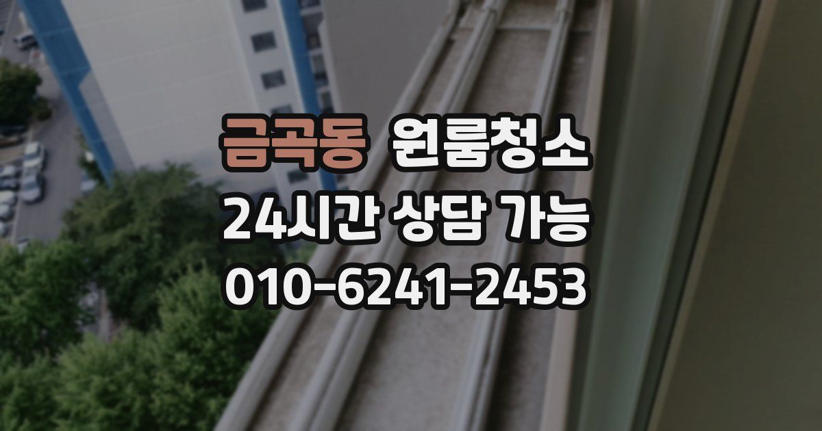 금곡동 입주청소