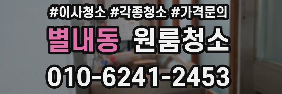 별내동 이사청소