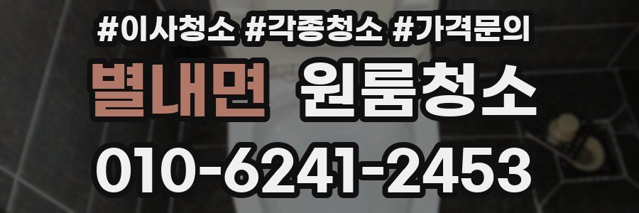 별내면 이사청소