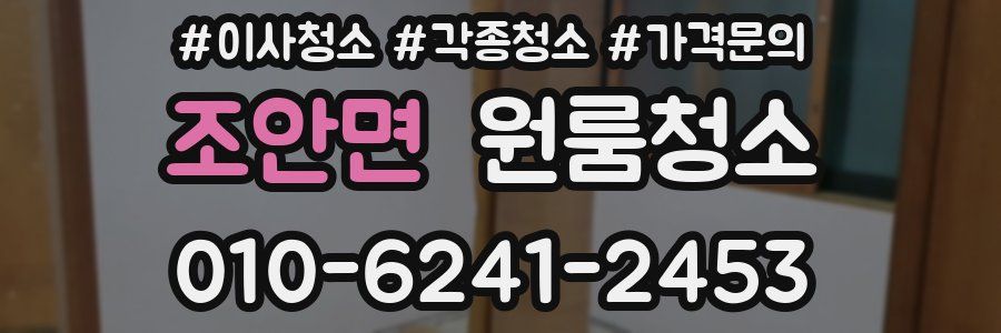 조안면 이사청소