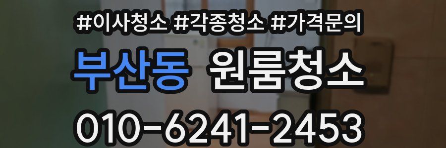 부산동 이사청소