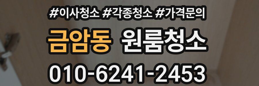 금암동 이사청소