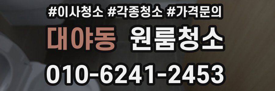 대야동 이사청소