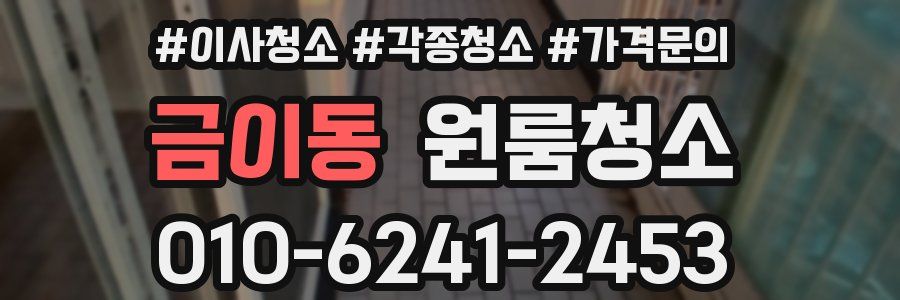 금이동 이사청소