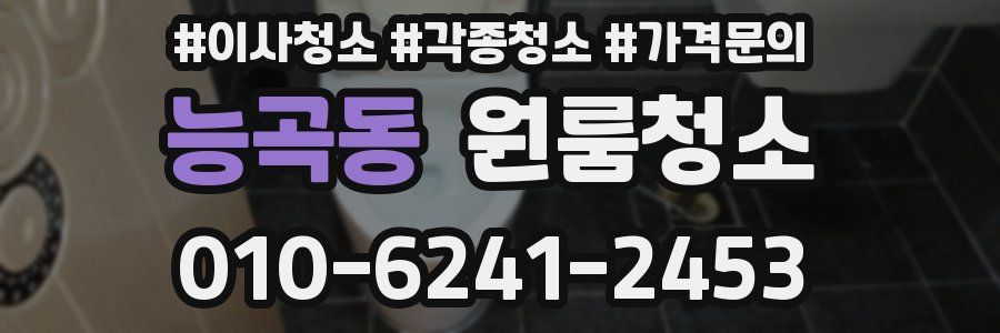 능곡동 이사청소