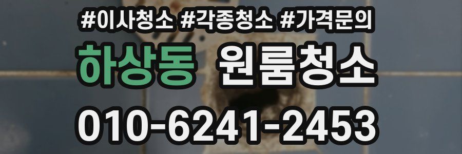 하상동 이사청소