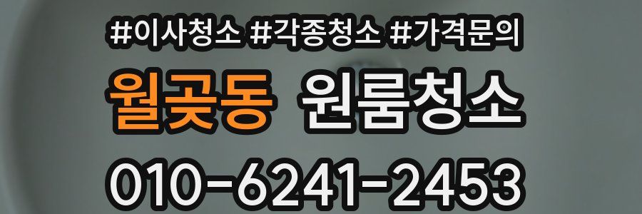 월곶동 이사청소