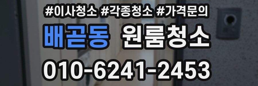 배곧동 이사청소