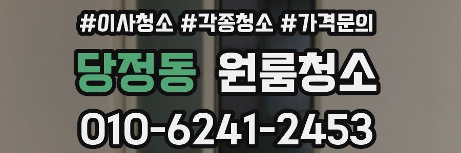 당정동 이사청소