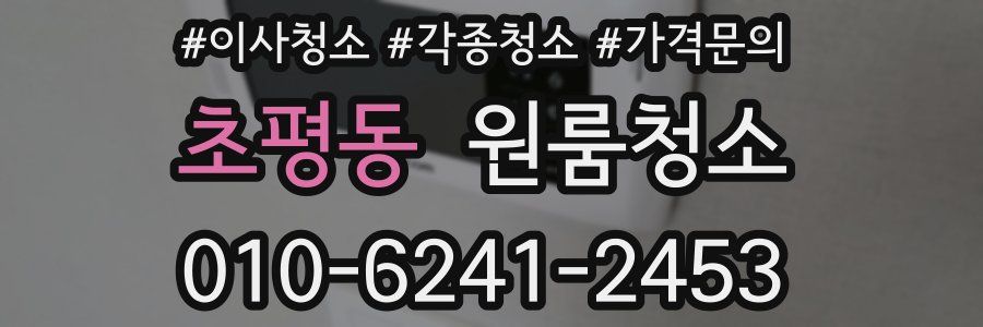 초평동 이사청소