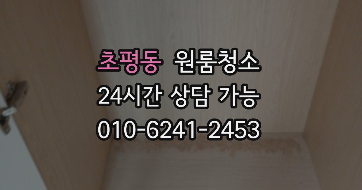 초평동 입주청소