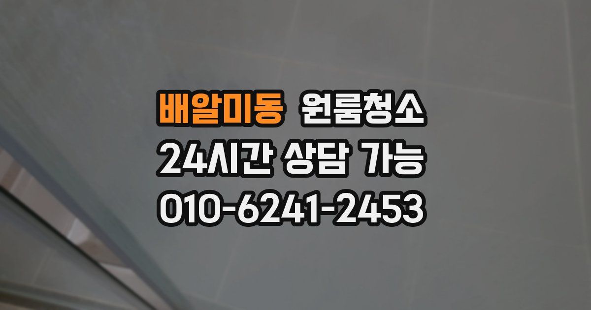 배알미동 입주청소