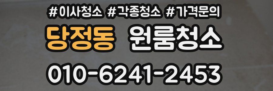 당정동 이사청소