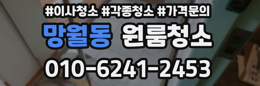 망월동 이사청소