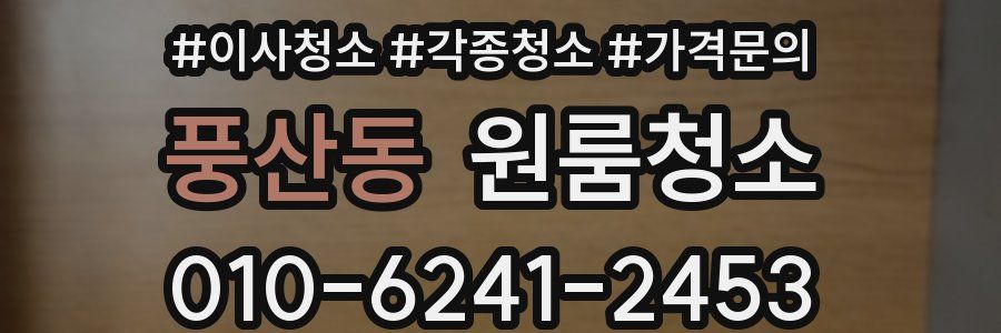 풍산동 이사청소