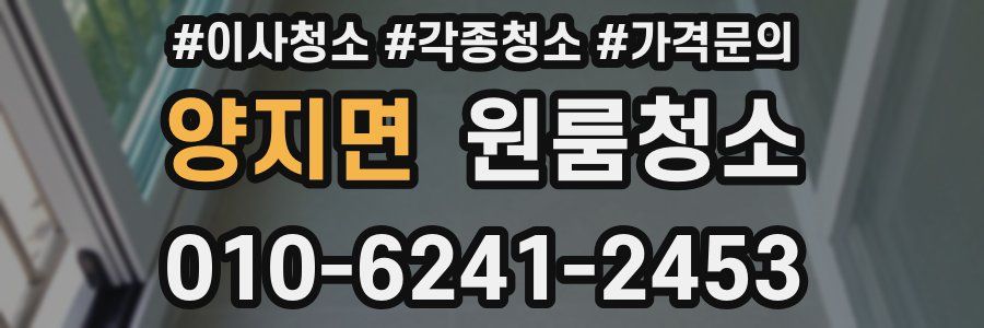 양지면 이사청소