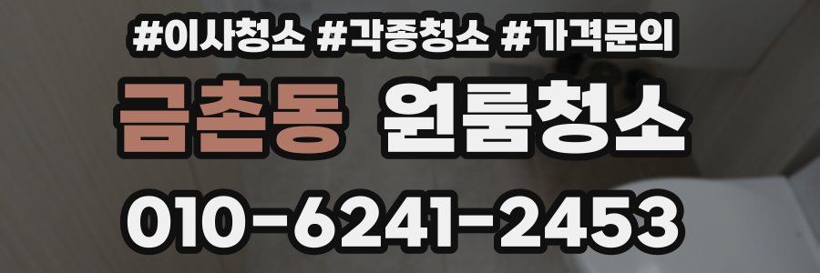 금촌동 이사청소