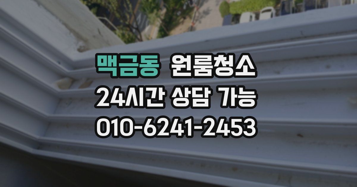 맥금동 입주청소