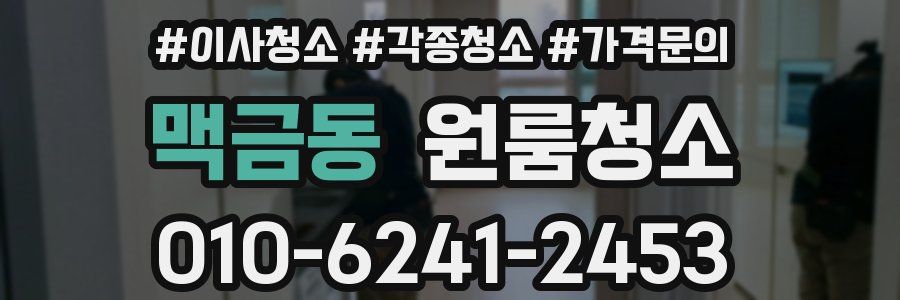 맥금동 이사청소