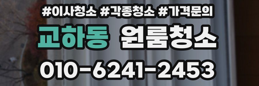 교하동 이사청소