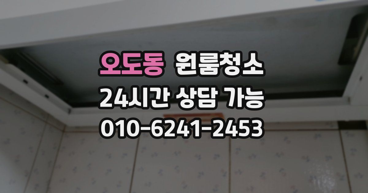 오도동 입주청소