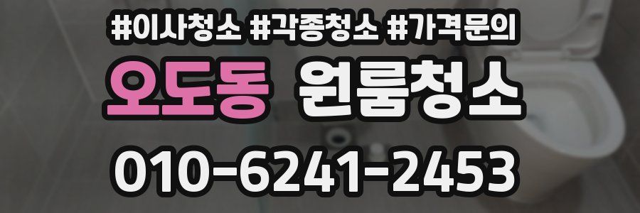 오도동 이사청소