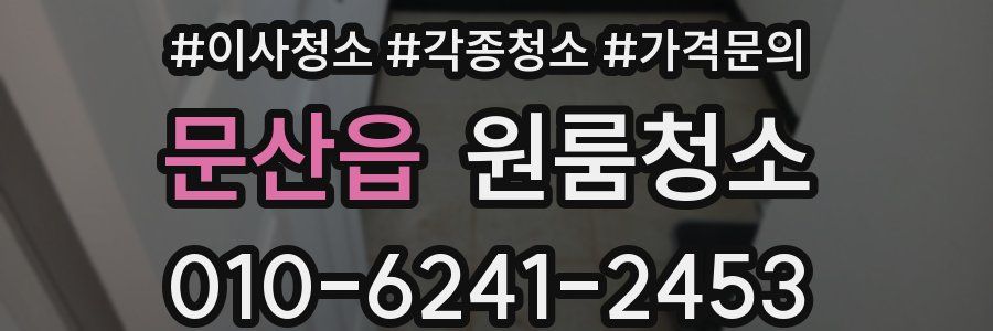 문산읍 이사청소