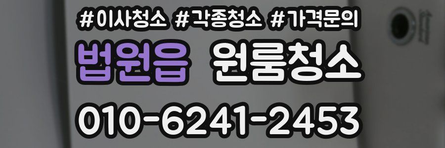 법원읍 이사청소