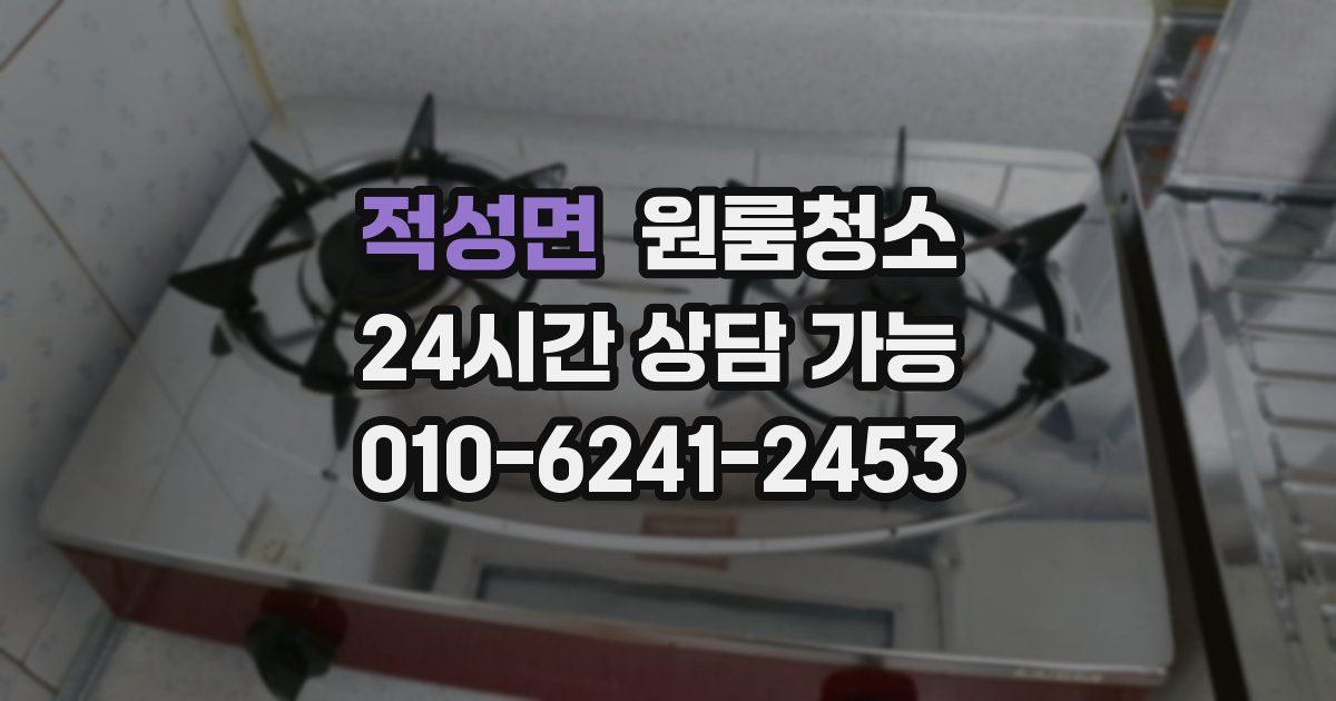 적성면 입주청소