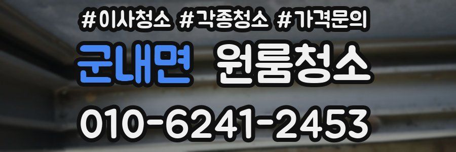 군내면 이사청소
