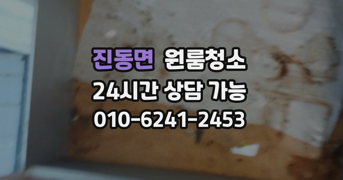 진동면 입주청소